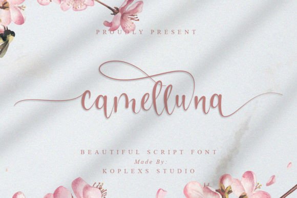 Camelluna: A Fresh Script Font for Modern Design